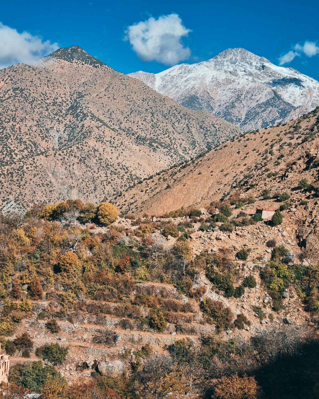 Ourika Valley